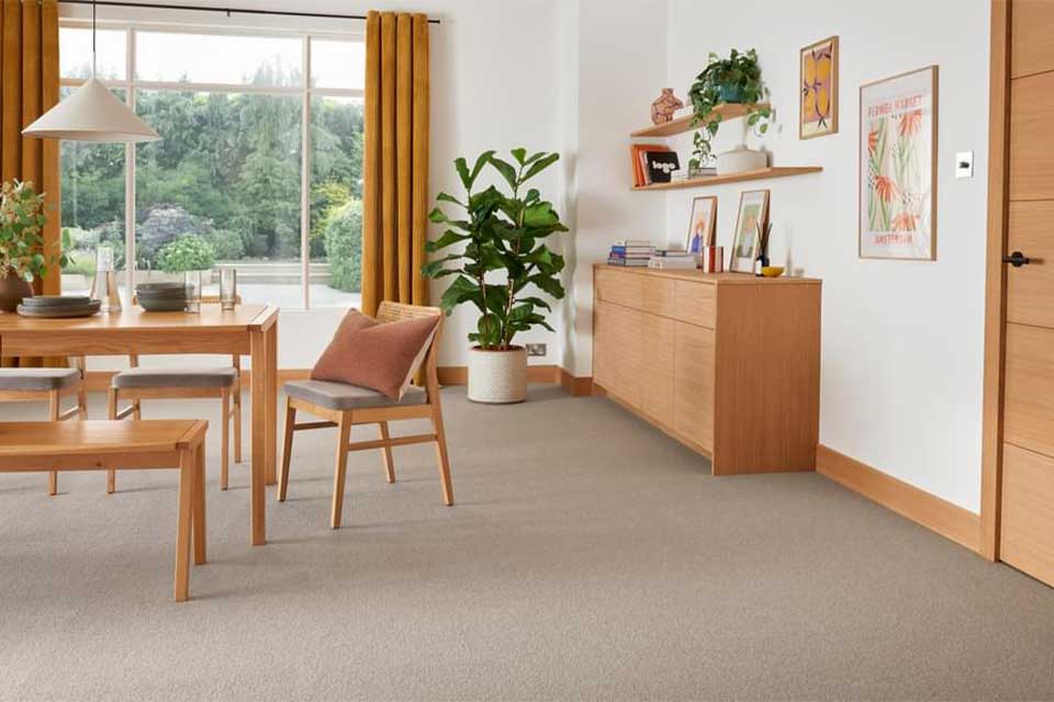 Carpet-Roomset-1
